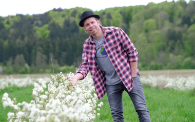 Die Junibeere oder auch Saskatoon und Felsenbirne genannt, gibt es jetzt zum pflanzen im eigenen Garten.